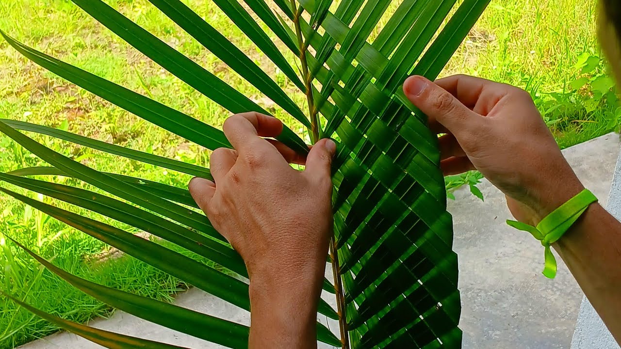 Como Trançar Palha para o Domingo de Ramos