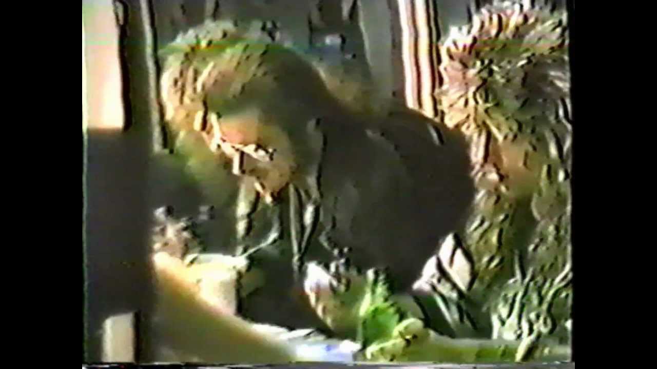 King Diamond Signing Autographs - 1987