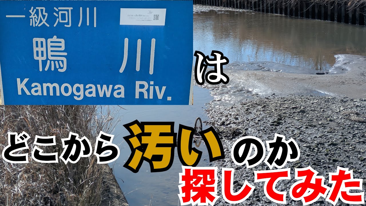 【ややこしい】鴨川はどこから汚いのか探してみた