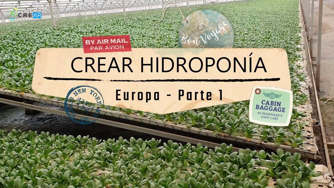 INCREÍBLES sistemas en HIDROPONÍA 💧🌱 - EUROPA Parte 1