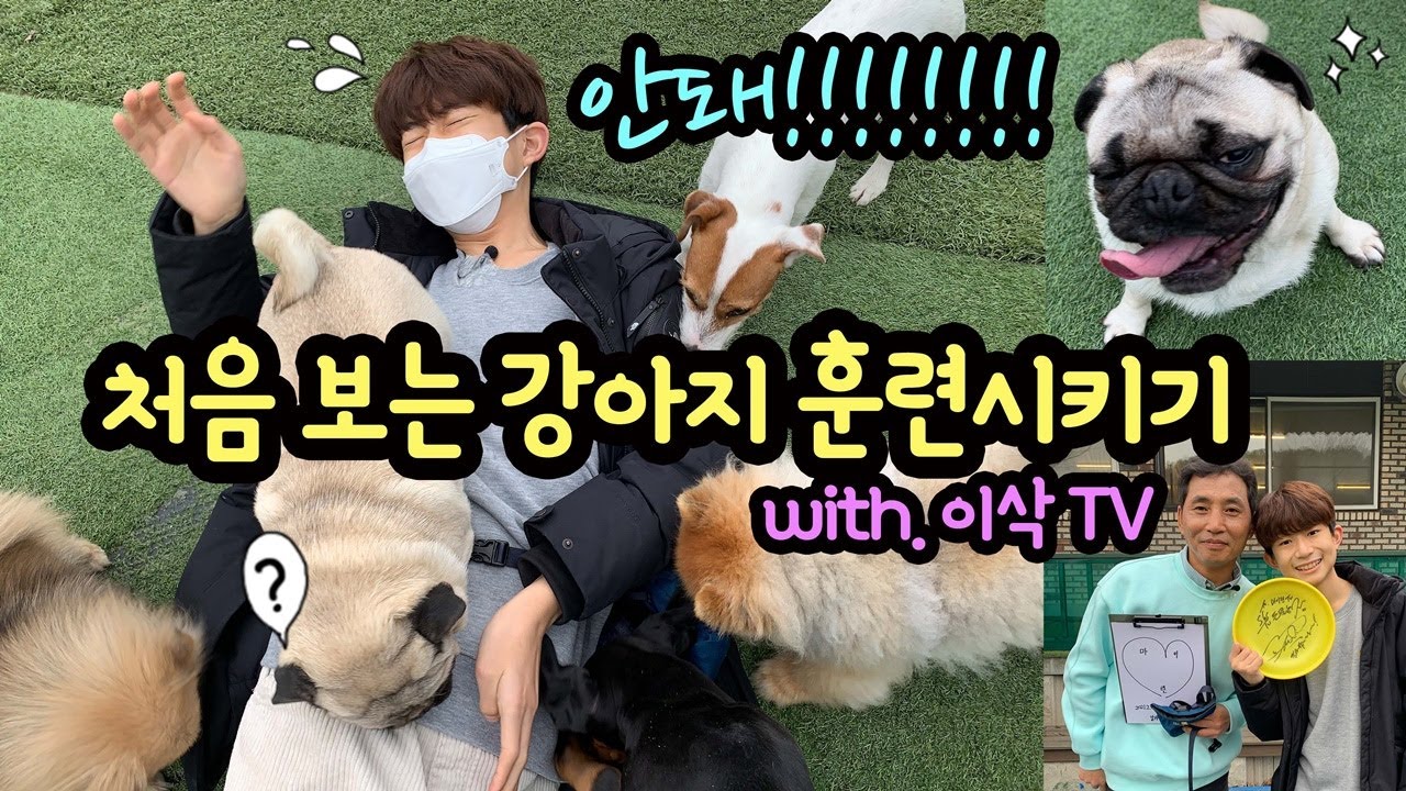 처음 보는 강아지 훈련시키기 (강아지가 내 말을 안 들어요 ㅠㅠ) 이삭애견훈련소에 다녀왔어요 | 마이린 TV