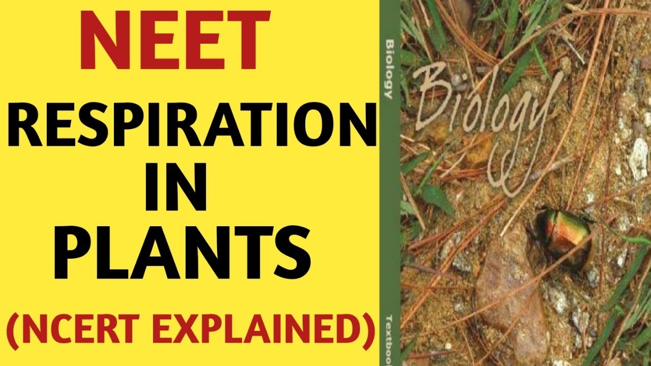 Respiration In Plants/Class 11/NCERT/Quick Revision Series/NEET/AIIMS/2019/By Beats For Biology