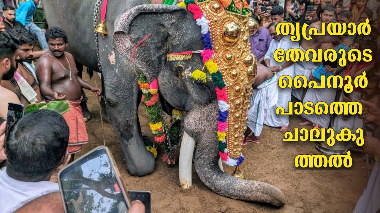 തൃപ്രയാർ തേവരുടെ പൈനൂർ പാടത്തെ ചാലുകുത്തൽ Thriprayar Thevar Chaalukuthu 2025 Arattupuzha pooram 2025