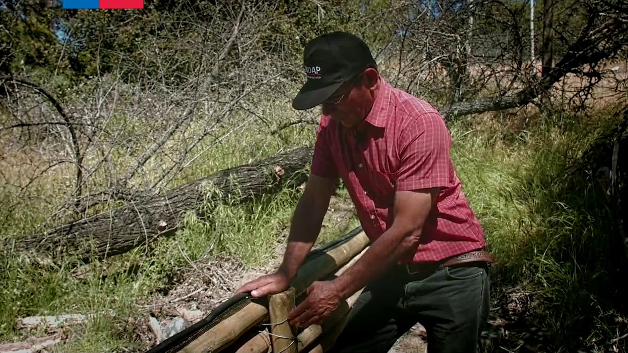 CONSTRUCCIÓN DE DIQUES DE POSTES