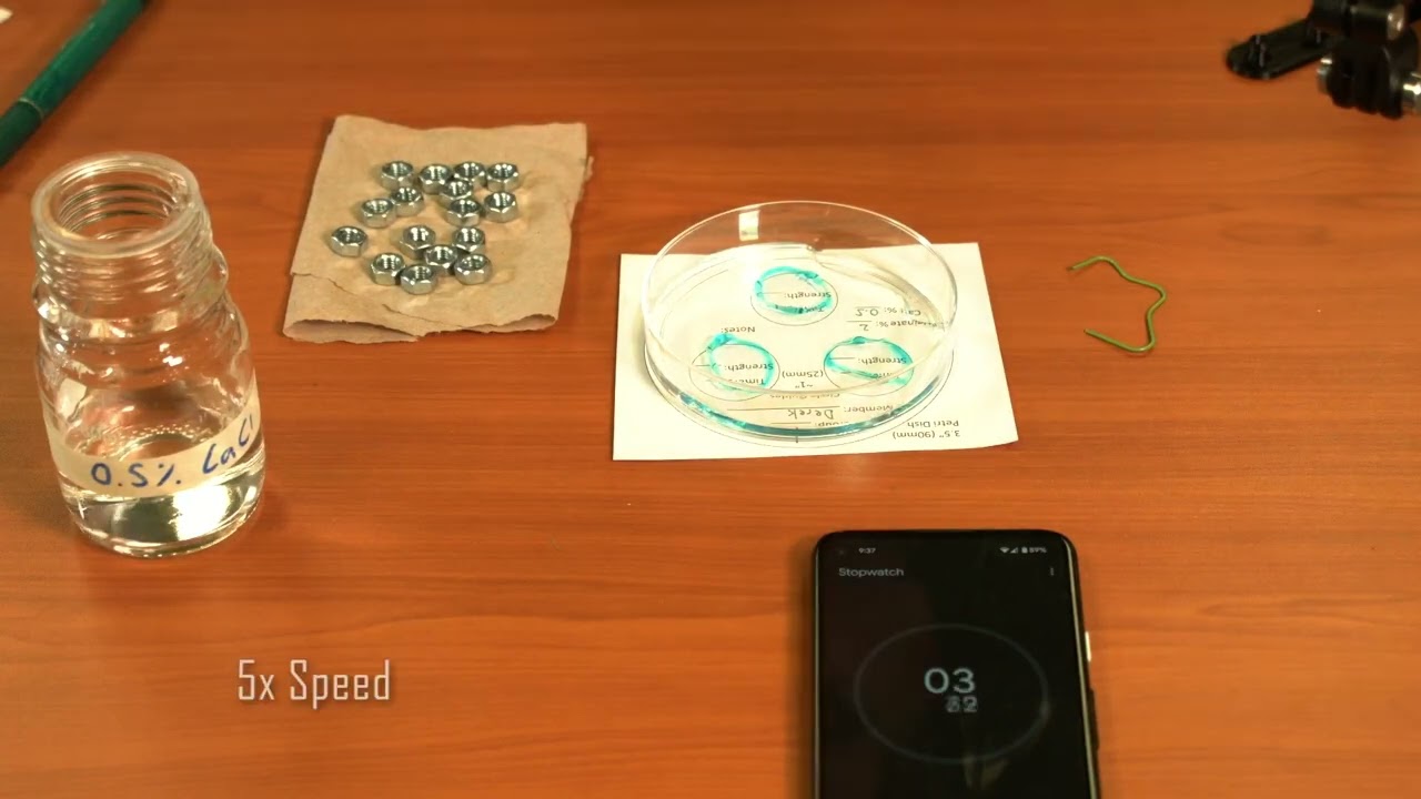 Bio-Printing Series: Lab 2 - Crosslinking with CaCl2
