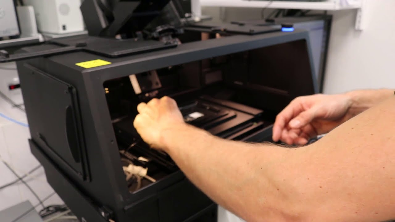 Bioimaging - Spinning Disk Confocal Microscope