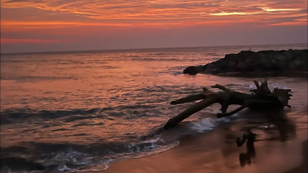Sound Healing 〜Ocean waves〜🇱🇰 #soundhealing #oceanvibes #oceanwavesound #srilankan 
