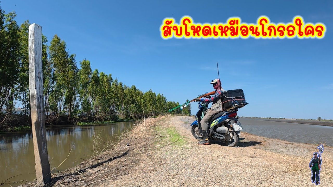 ซ้ายหมานตลอด