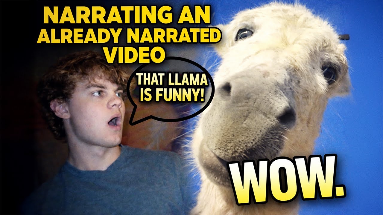 Narrating an Already Narrated Video **grimmg reacts**