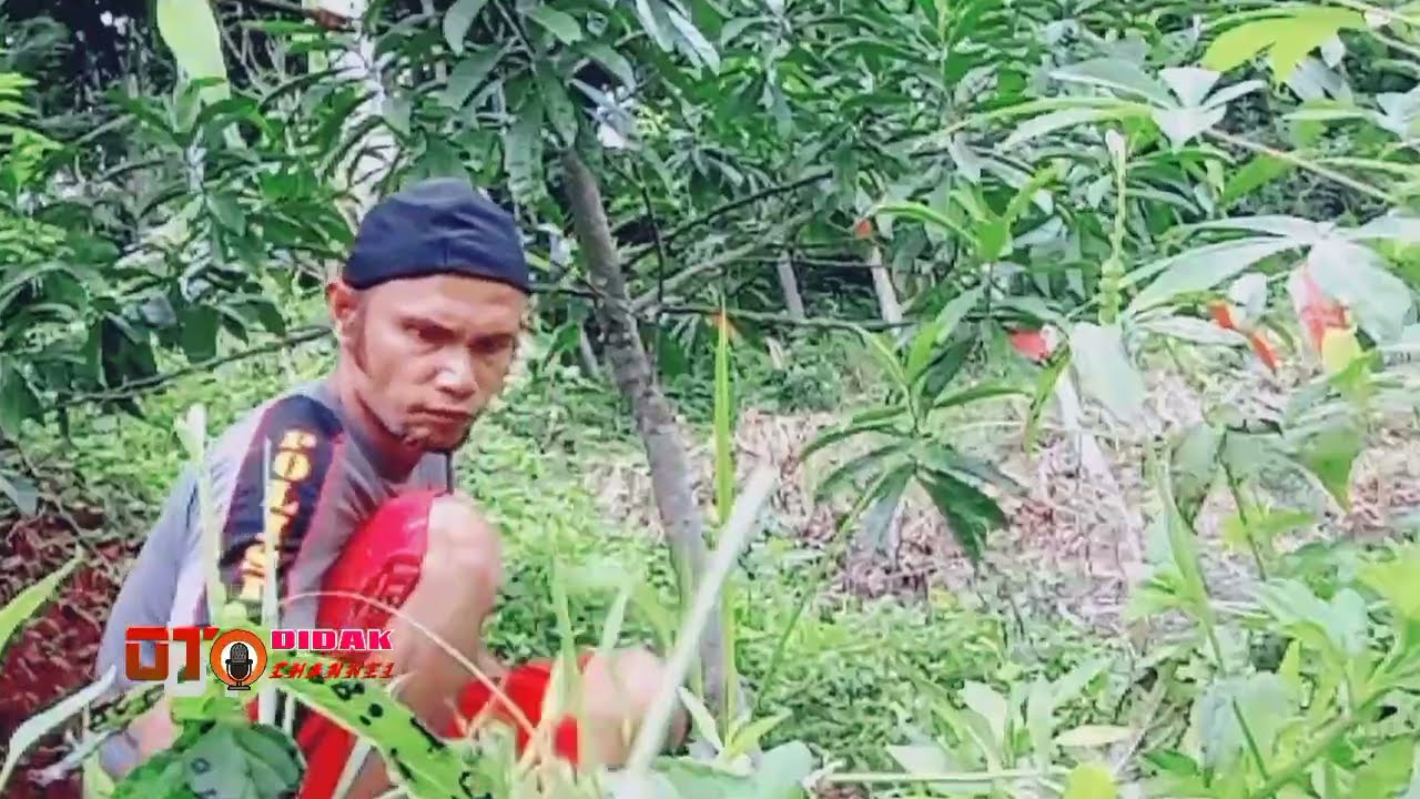 JENITRI KEBUMEN MASUK PASAR INTERNASIONAL