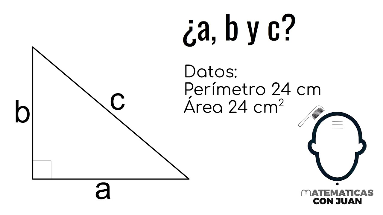 CALCULAR LOS LADOS DEL TRIÁNGULO DADO EL PERÍMETRO Y EL ÁREA. Geometría Básica