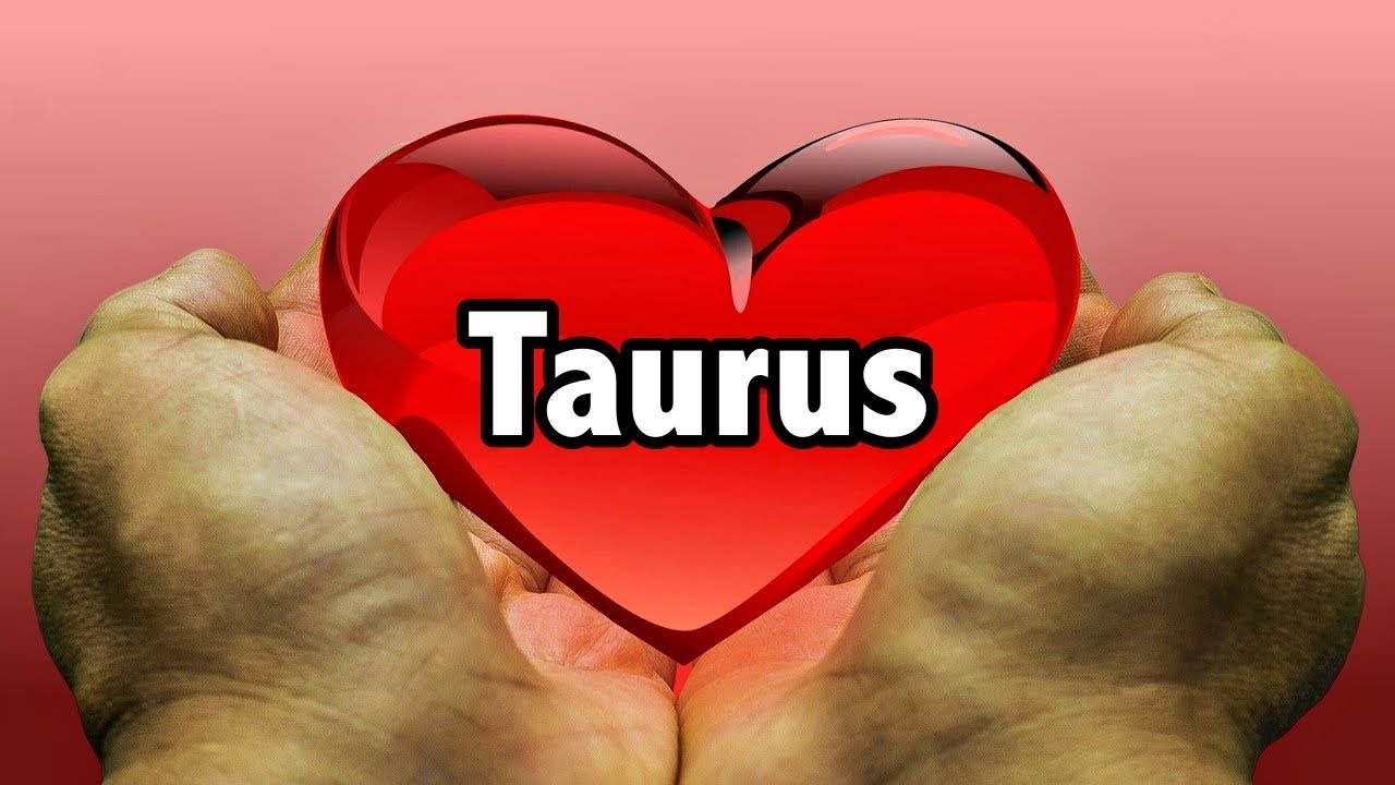 Taurus! Someone Has Something To Say And Offer To You! End Of November 2019