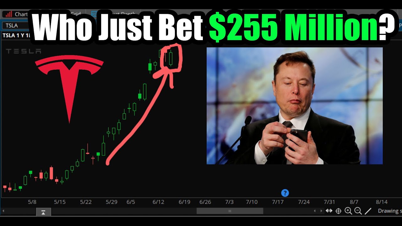 Did Elon Musk Bet $255M on Tesla (TSLA) Stock Options?