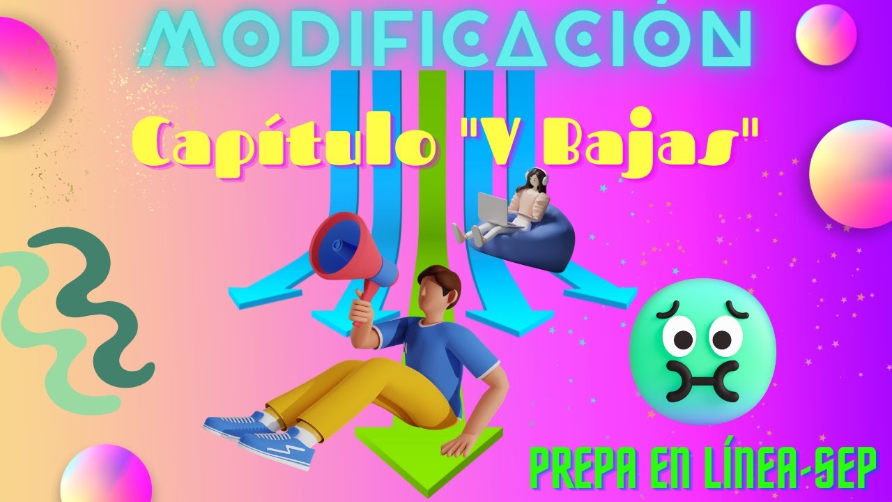 Bajas, modificación al capítulo 