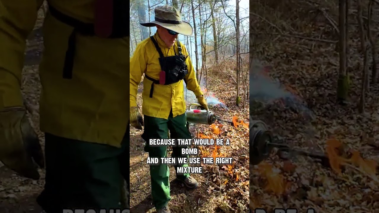 These are the tools you need for prescribed fire