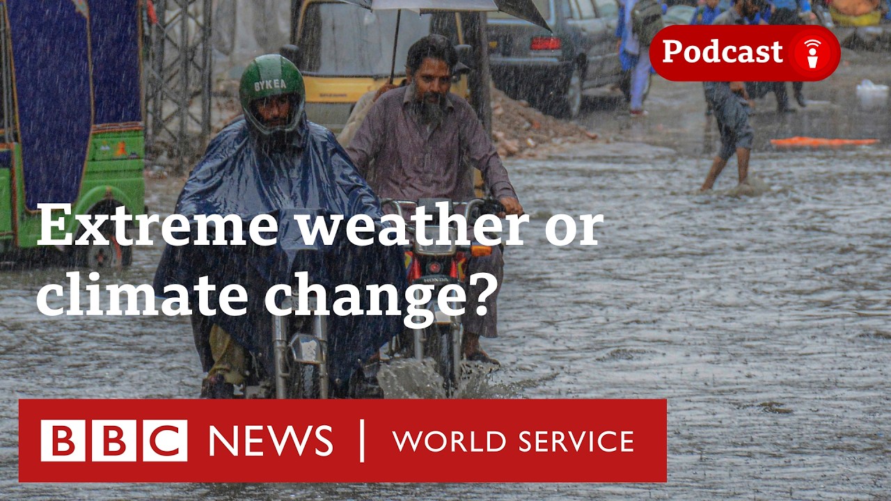 Zmiana klimatu czy po prostu szalona pogoda? Pytanie o klimat | BBC World Service
