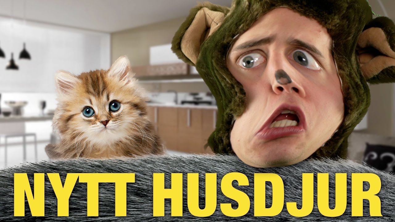 NYTT HUSDJUR