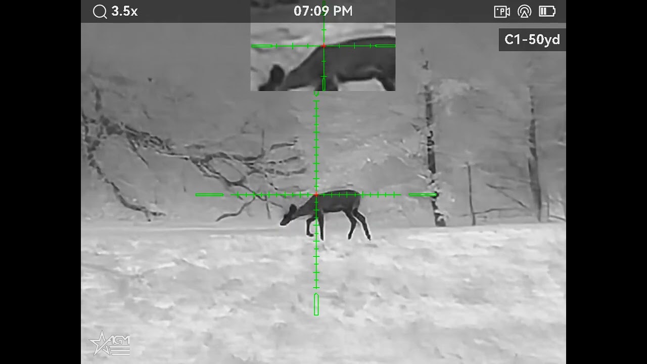 AGM Rattler 25 320 V2