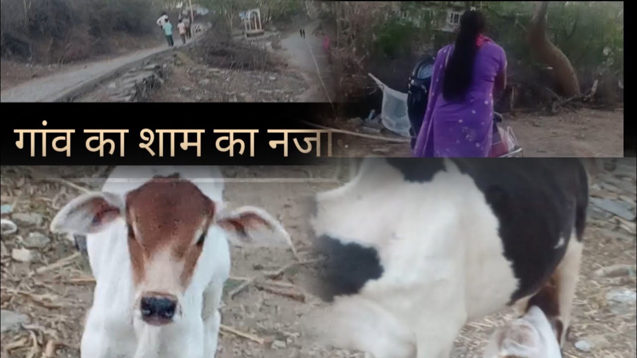 गांव का शाम का नजारा 💞//राधे राधे friends welcome to my vlog 🙏🙏 