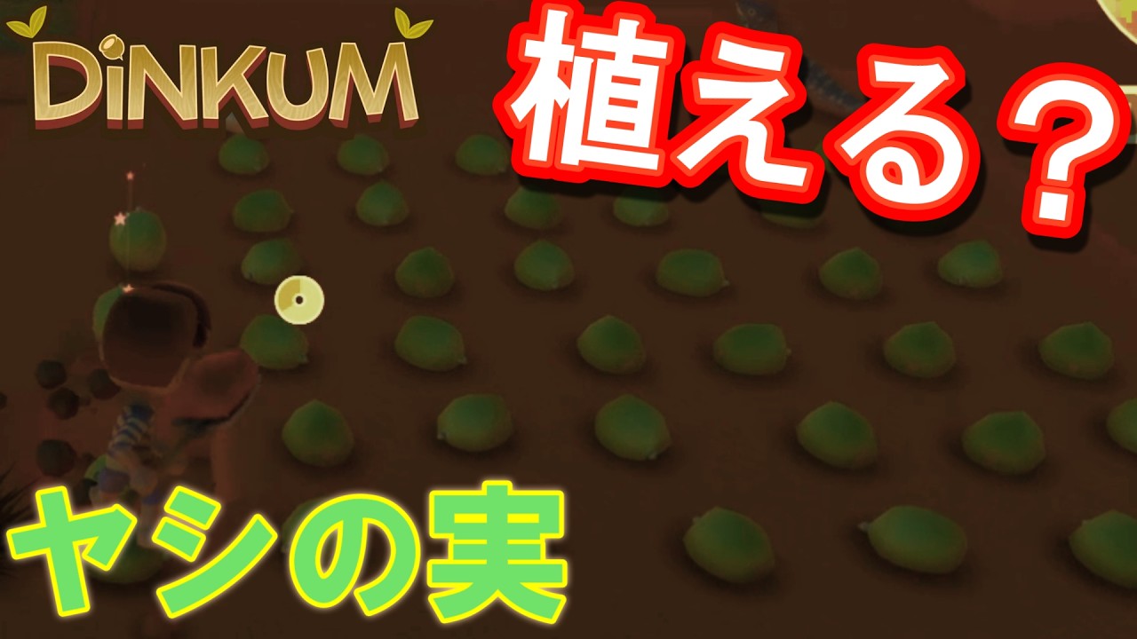 ヤシの実に見えるよね　Dinkumディンカム＃04