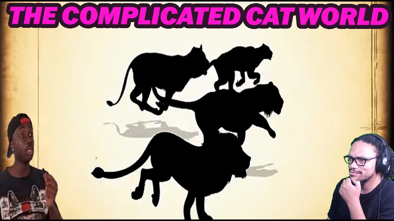 REACTION: The Ridiculously Complicated World of Cats CASUAL GEOGRAPHIC @mndiaye_97