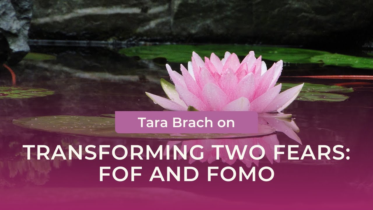 Transforming Two Fears: FOF and FOMO with Tara Brach