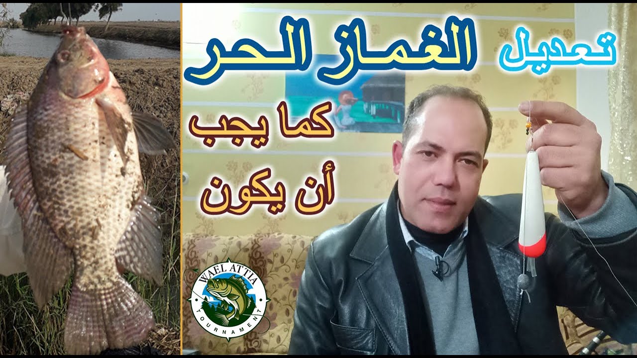 الغماز الحر| كما يجب أن يكون