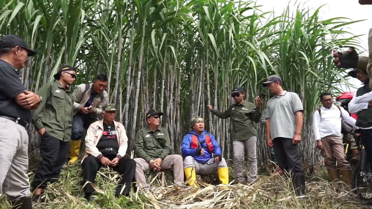 Wawancara dan Testimoni dengan Narasumber Petani Kebun Bayu Kidul