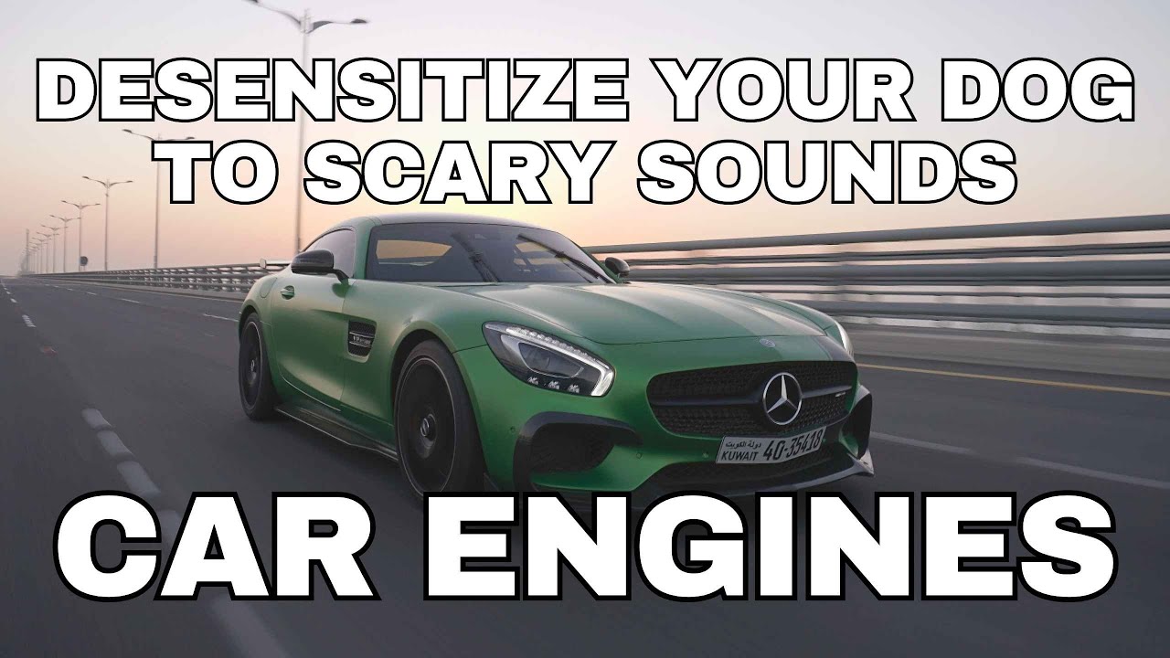 Dog Desensitization Sounds for Dogs & Puppies: Car Engines