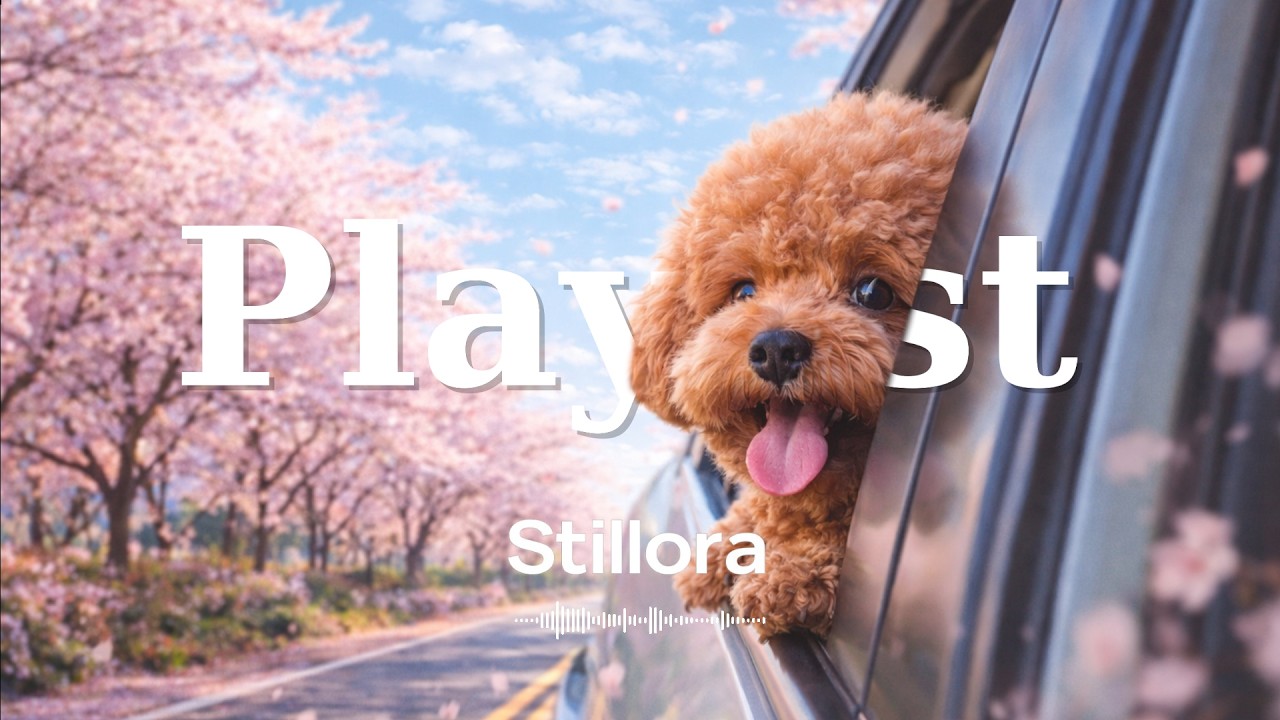 𝐏𝐥𝐚𝐲𝐥𝐢𝐬𝐭 살랑살랑 봄바람 불 때 듣는 기분좋은 Spring Vibes🌸ㅣ벚꽃 드라이브용 감성팝 플레이리스트