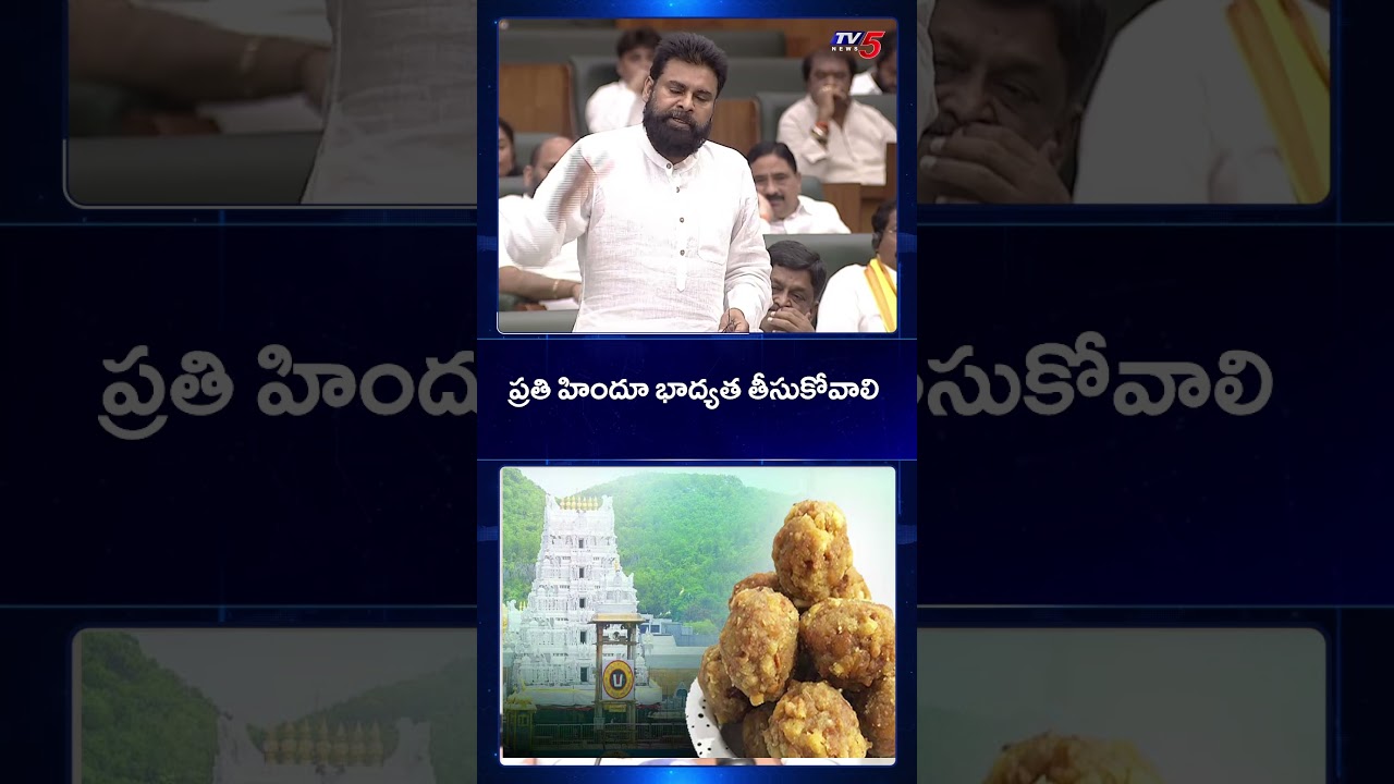 DY CM Pawan Kalyan Fire on YSRCP | YS Jagan | Tirumala Laddu Controersy | TV5 News