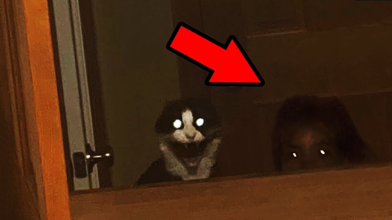 V&iacute;deos de Terror Reais que V&atilde;o Te Deixar ASSUSTADO!