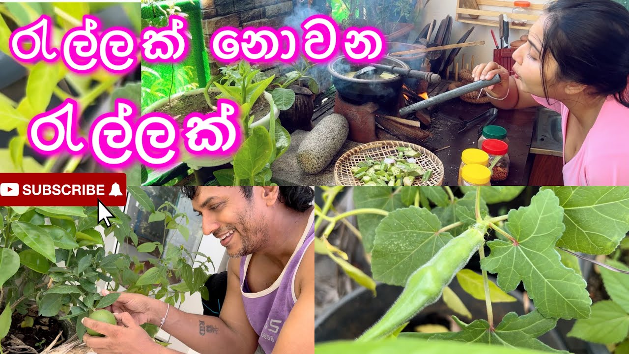 රැල්ලක් නොවන රැල්ලක් | Aloe vera mocktail #freshvegetables #aloevera #ridmapilapitiya