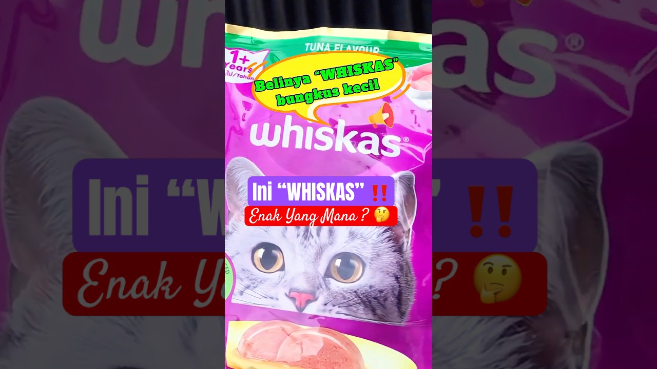 Ini “WHISKAS” ‼️ Enak Yang Mana ? 🤔