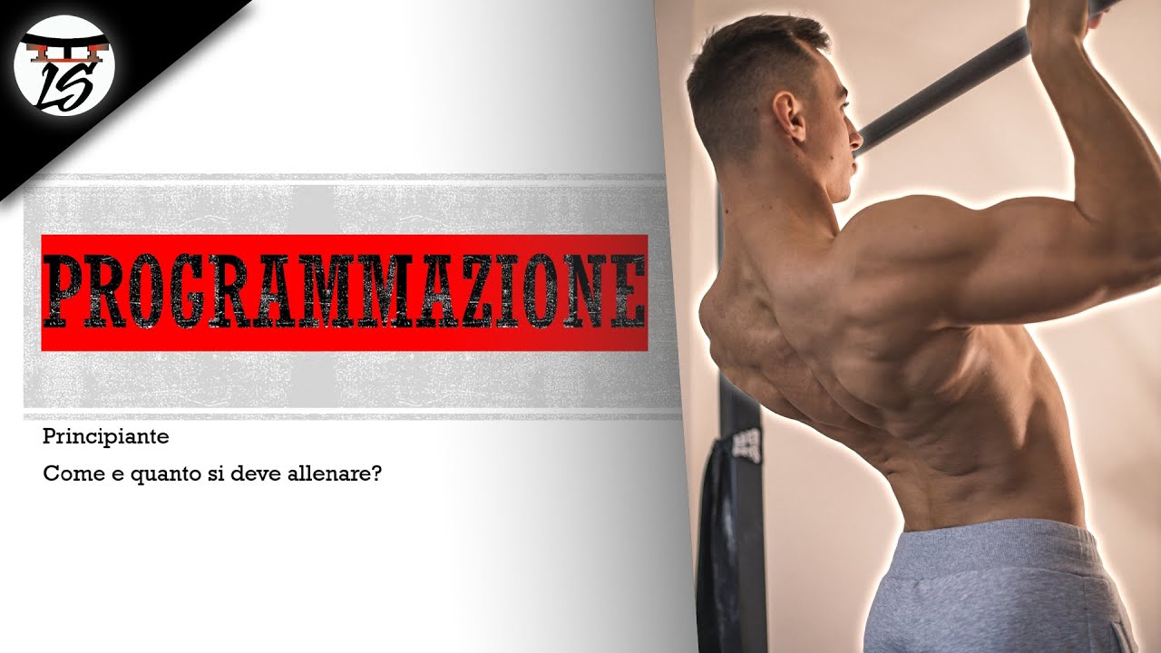 Come si deve allenare un PRINCIPIANTE nel CALISTHENICS