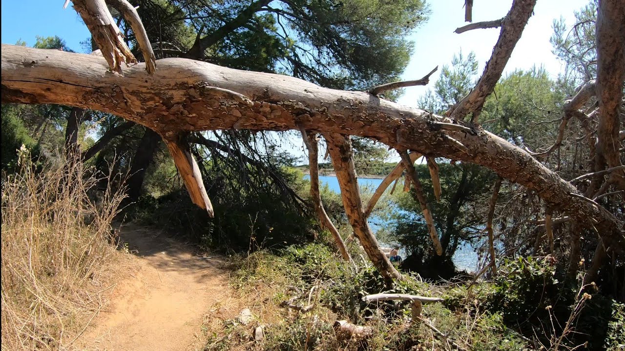 Forest and Beach Walking Premantura Kamenjak Croatia 2021