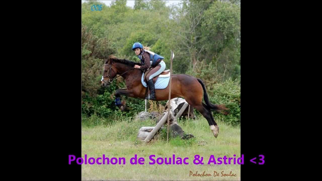 Elevage de Soulac