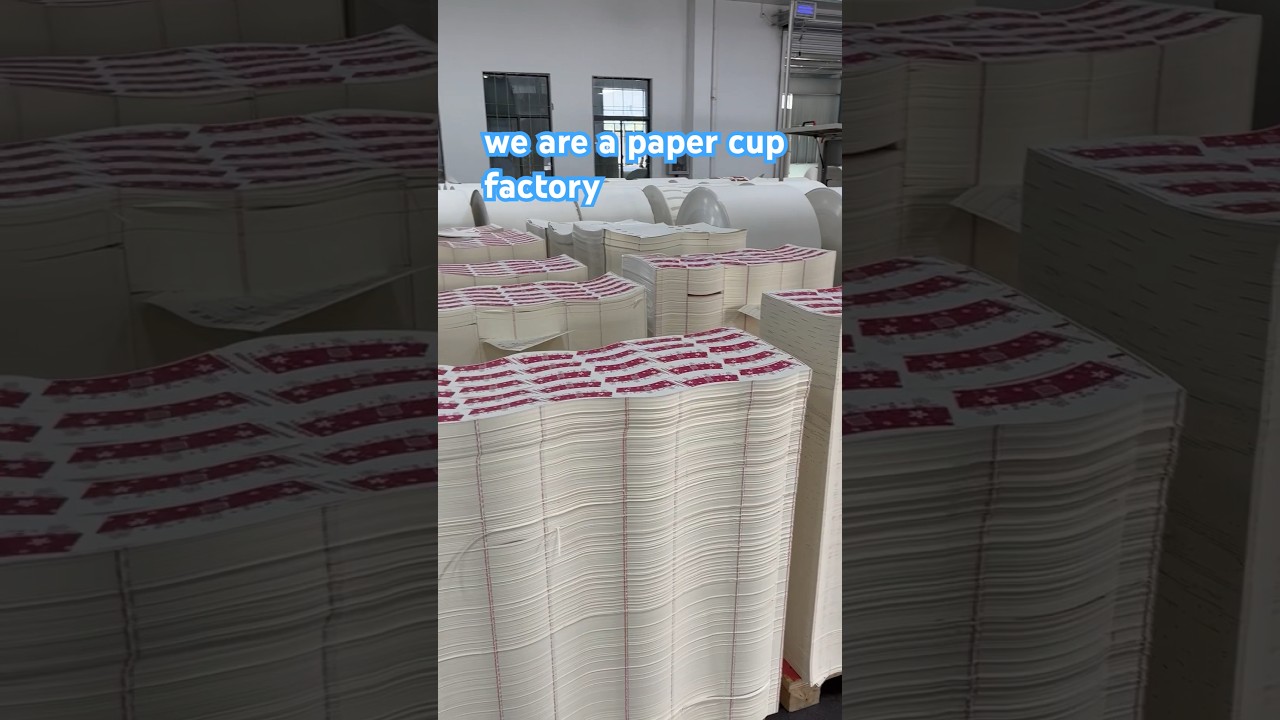 High-quality paper cups directly from a Chinese factory.