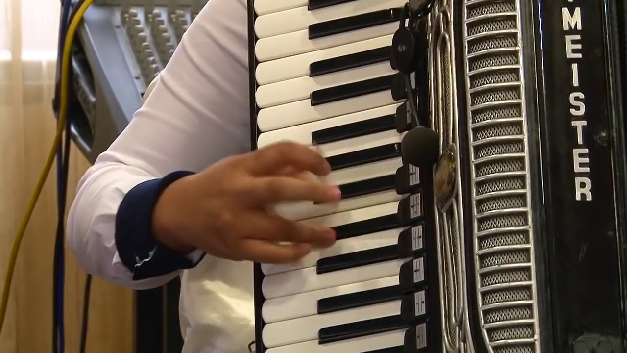 MIRABELA DE LA TG JIU - Instrumentala Acordeon  (Eleva Ionica Minune)