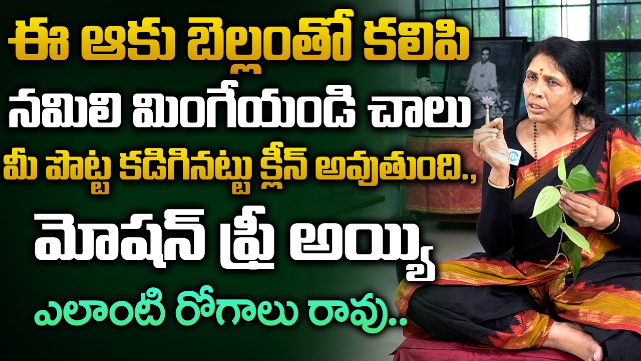 ఈ ఆకు నమిలి తింటే చాలు! Motion Free, No Diseases | Natural Health Tips Telugu | Aruna Devi