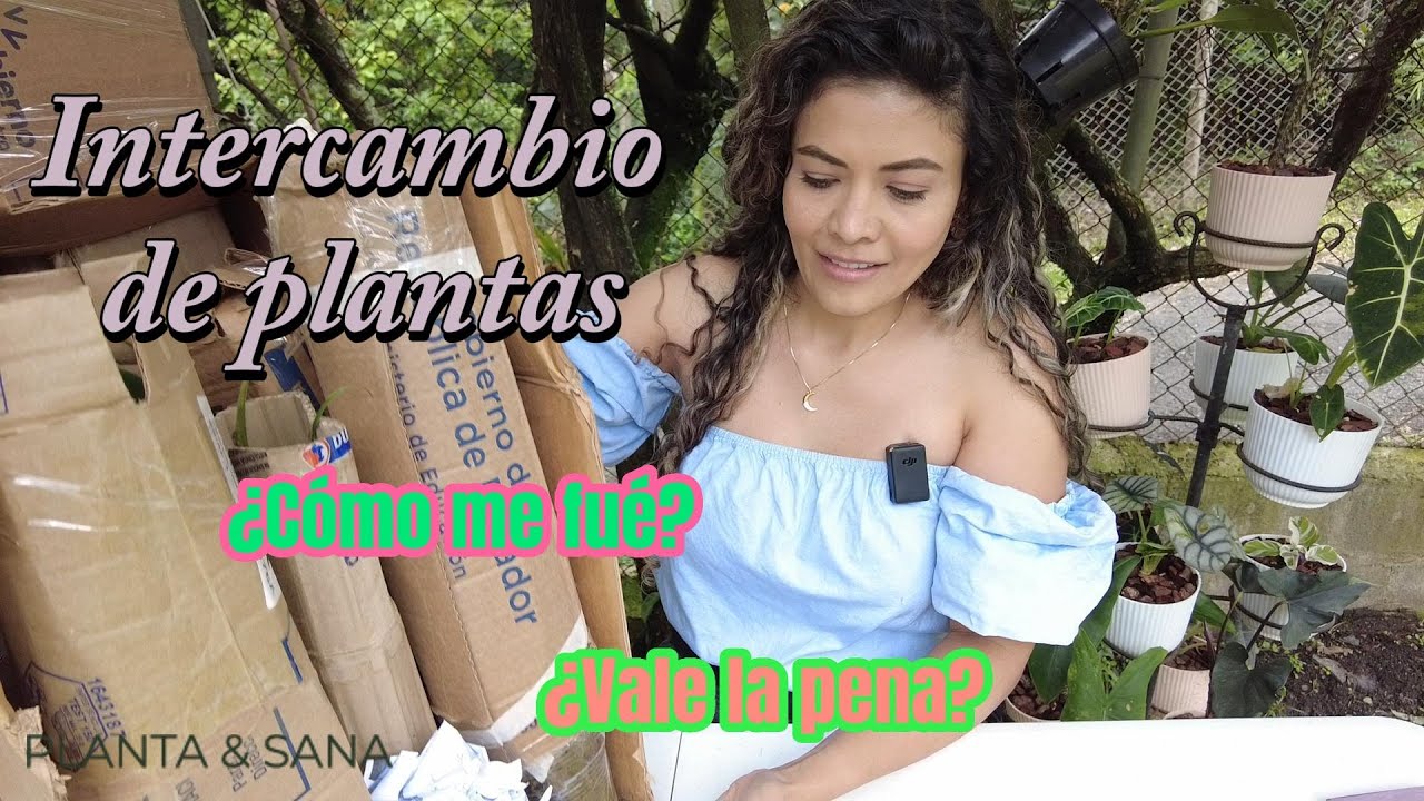 Intercambio de plantas, ¿Valió la pena? ¡INCREÍBLE!