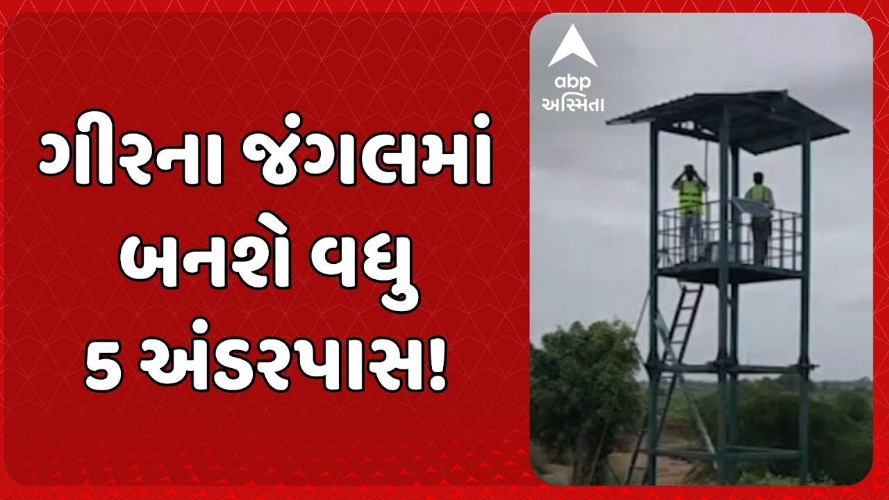 Ashwini Vaishnaw | ગીરના જંગલમાં બનશે વધુ 5 અંડરપાસ: મંત્રીઅશ્વિની વૈષ્ણવે રજૂ કર્યો જવાબ