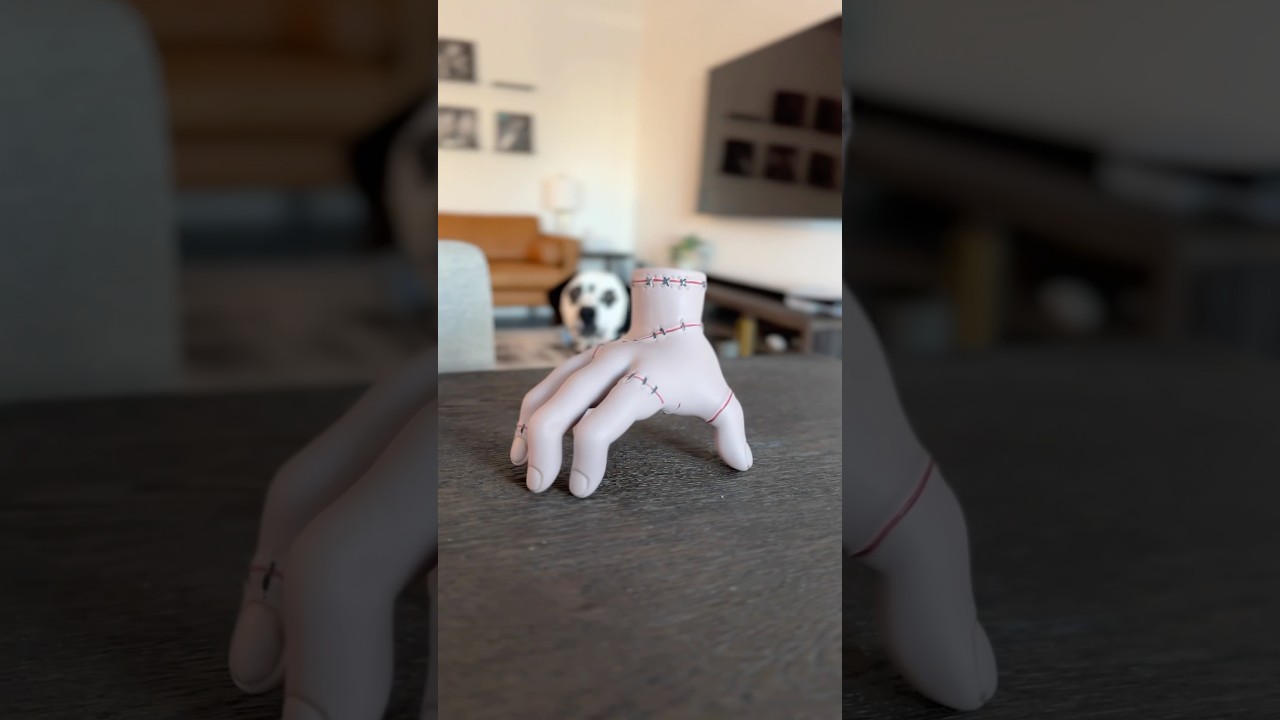 The Addams Family but it’s Dalmatian barks instead of snaps. 