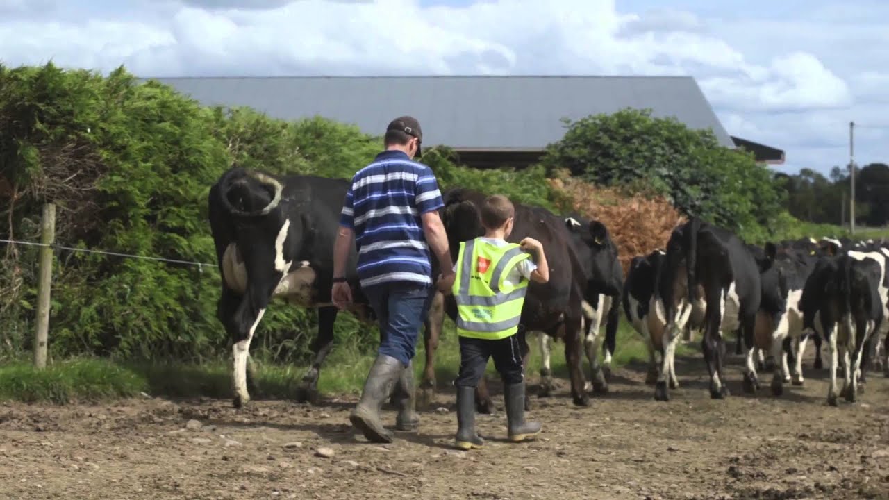 Kerrygold Farmer Family - Andrew Gow, Co. Limerick