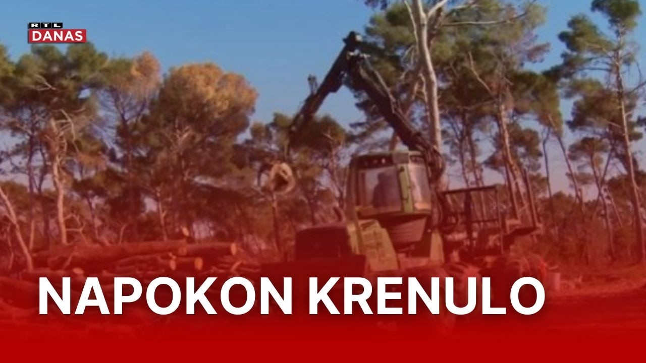 Nastavljaju se radovi u Marjanu: Više od 4000 uništenih stabala ide pod pilu | RTL Danas