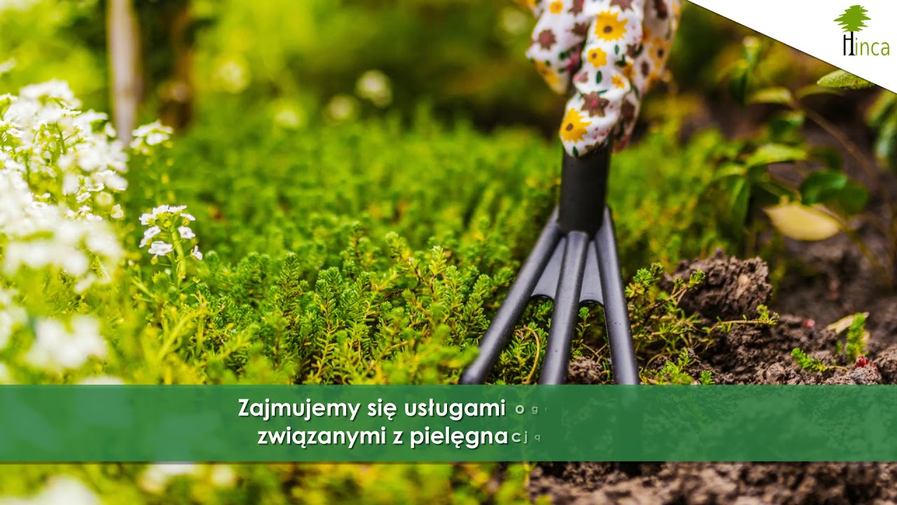 Gospodarstwo szkółkarskie rośliny ozdobne drzewa Dobrzyca Hinca