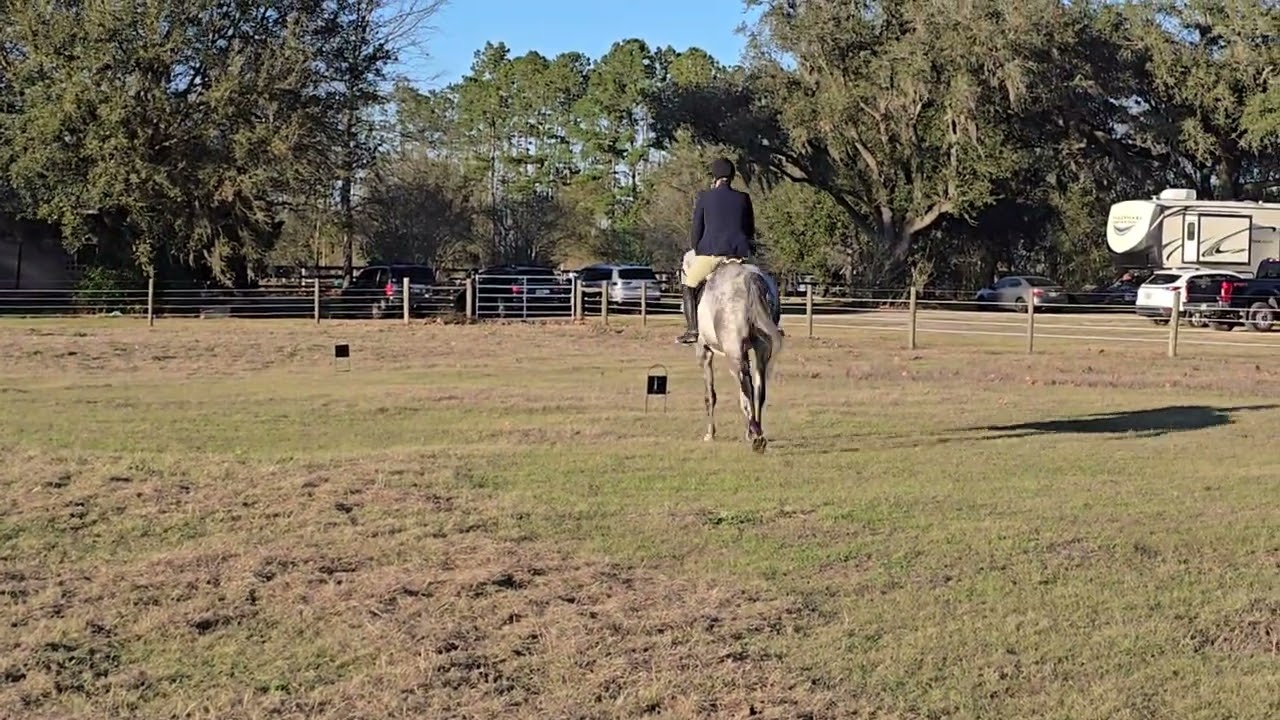 USDF February Test Intro B