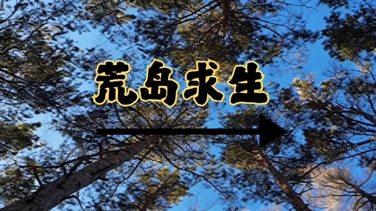硬核挑战荒岛生存 15 天！直面荒野未知，体验最真实的野外求生 #荒岛生存 #流浪 #野外生存