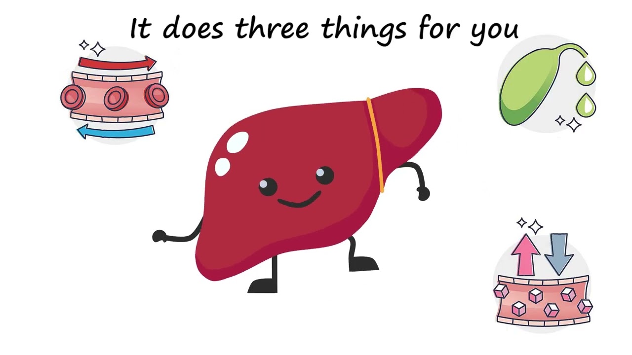 The Liver by Peter Weatherall