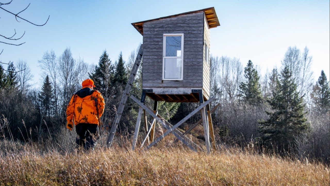 Wisconsin Gun Deer Season - How Many DEER Was That?